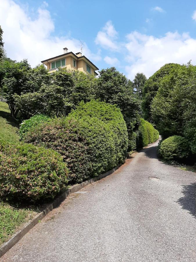 Bmp Apartment Gioiosa 2 Giardino Vista Lago Maggiore Belgirate Zewnętrze zdjęcie
